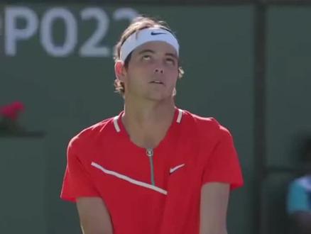 的表现数据 的表现数据