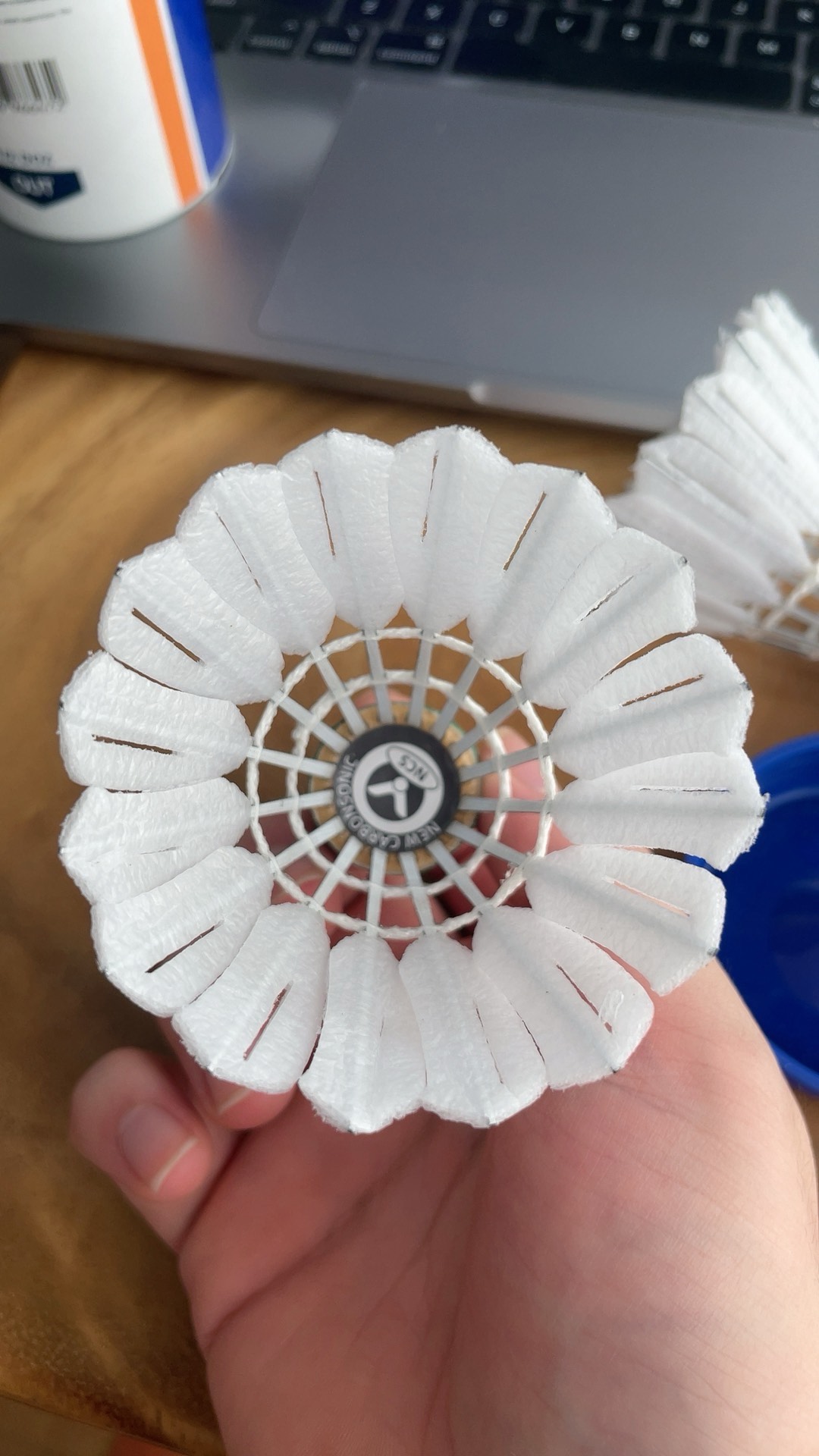 你可以看到 你可以看到